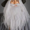 Herr Der Ringe Gandalf Bart Set