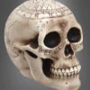 Totenkopf Mit Magischen Symbolen