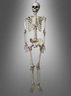 Skelett 90cm Hängende Halloween Deko
