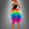 Regenbogen Rockteil Tournüre