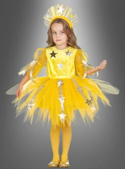 Weihnachtsstern Sternschnuppe